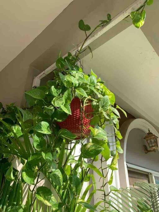 Furnished Villa Near Airport, Away From City Bhopal Bagian luar foto